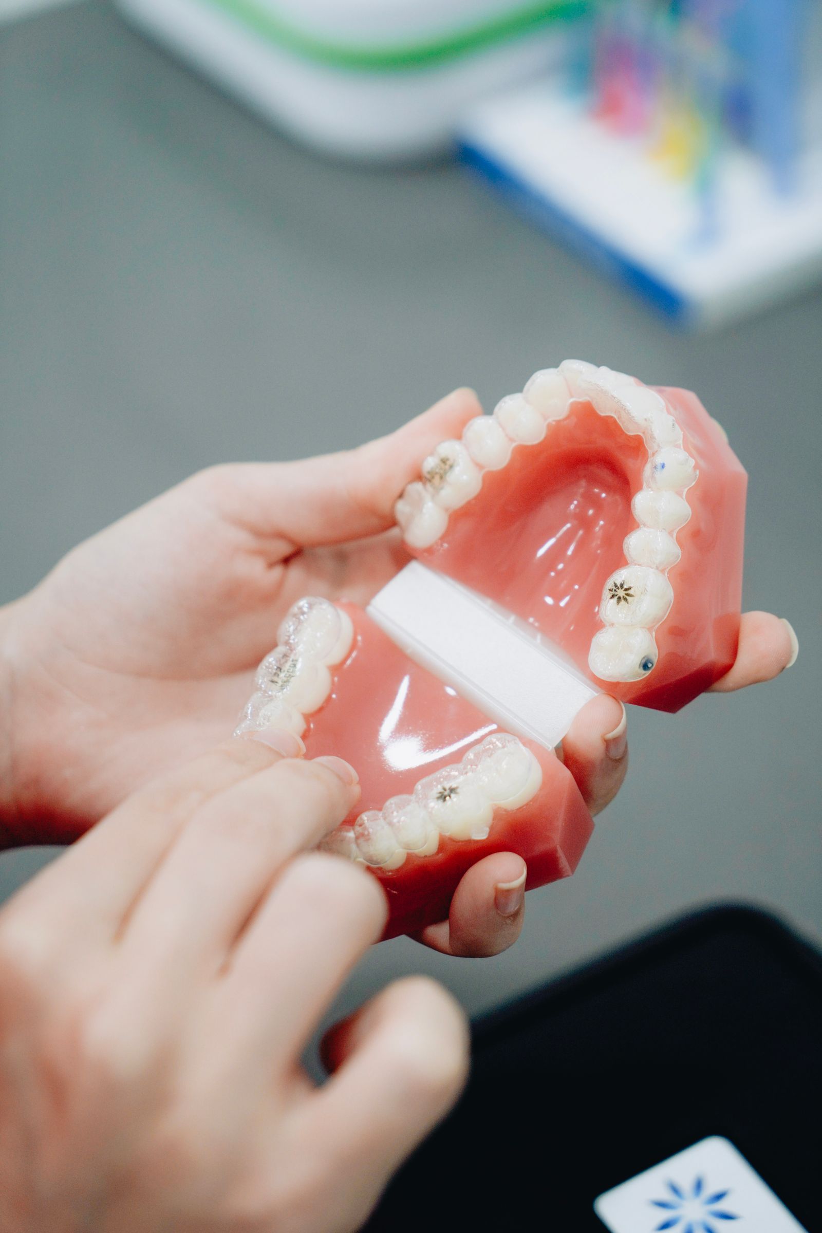 Dentist holding a complete set of dentures
