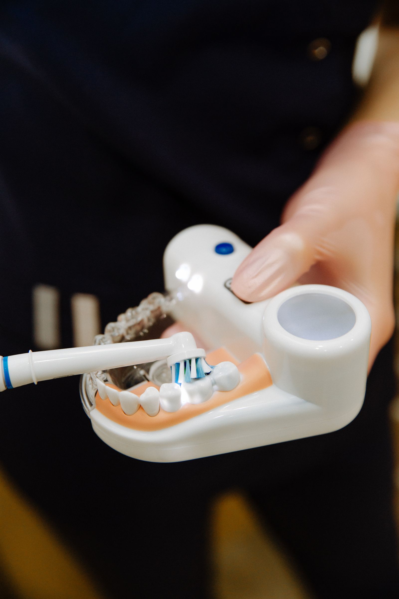 Dentist holding a dental bridge model